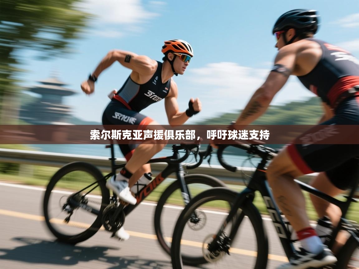 索尔斯克亚声援俱乐部，呼吁球迷支持  第2张